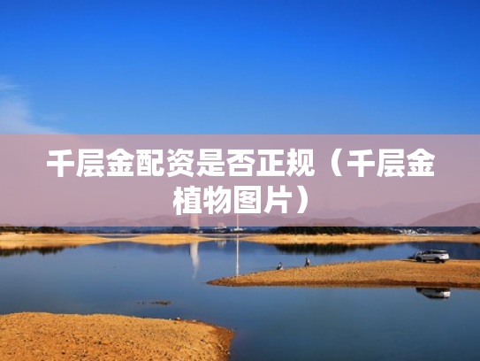 千层金配资是否正规（千层金植物图片）