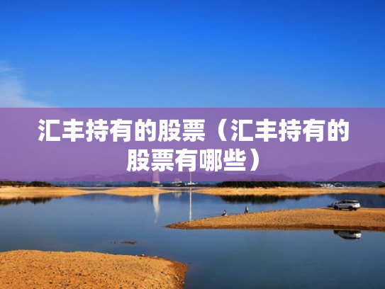 汇丰持有的股票（汇丰持有的股票有哪些）