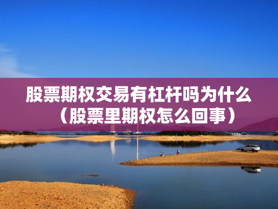 股票期权交易有杠杆吗为什么（股票里期权怎么回事）