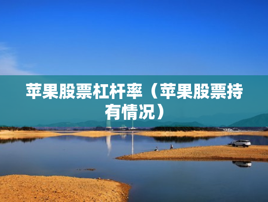 苹果股票杠杆率（苹果股票持有情况）