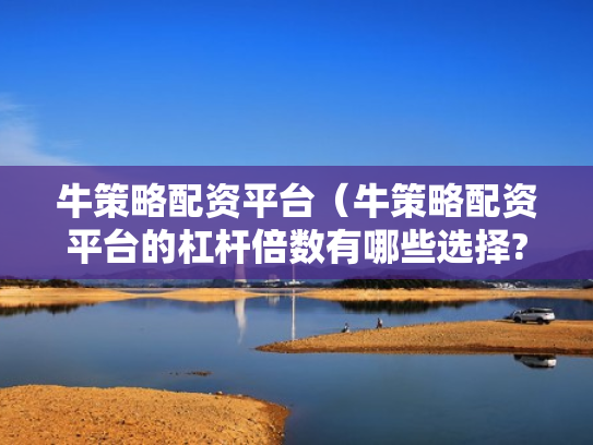 牛策略配资平台（牛策略配资平台的杠杆倍数有哪些选择?）