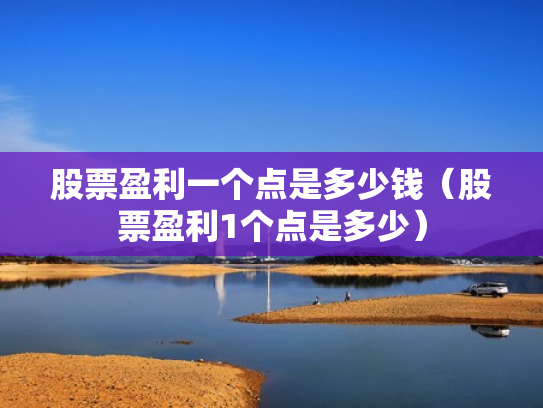 股票盈利一个点是多少钱（股票盈利1个点是多少）