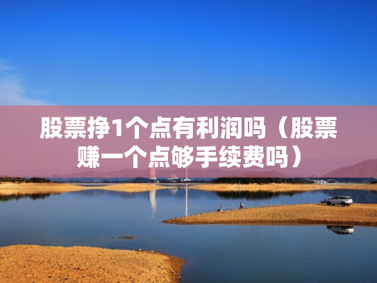 股票挣1个点有利润吗（股票赚一个点够手续费吗）