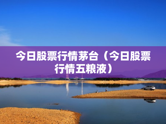 今日股票行情茅台（今日股票行情五粮液）