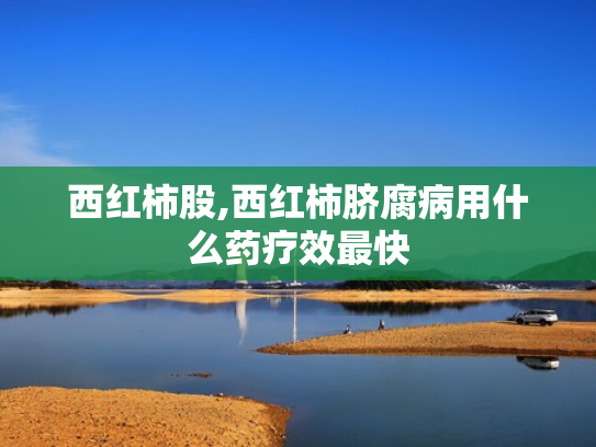 西红柿股,西红柿脐腐病用什么药疗效最快