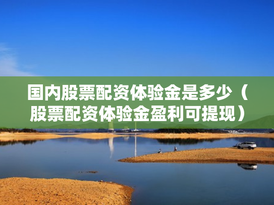 国内股票配资体验金是多少（股票配资体验金盈利可提现）