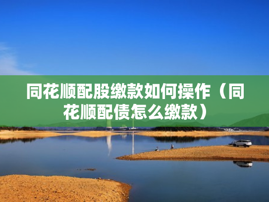 同花顺配股缴款如何操作（同花顺配债怎么缴款）