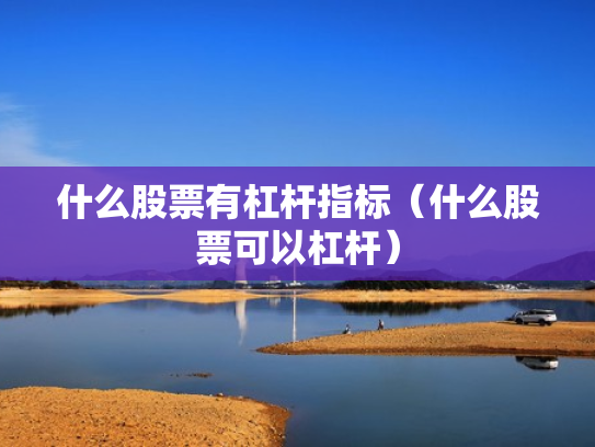什么股票有杠杆指标（什么股票可以杠杆）